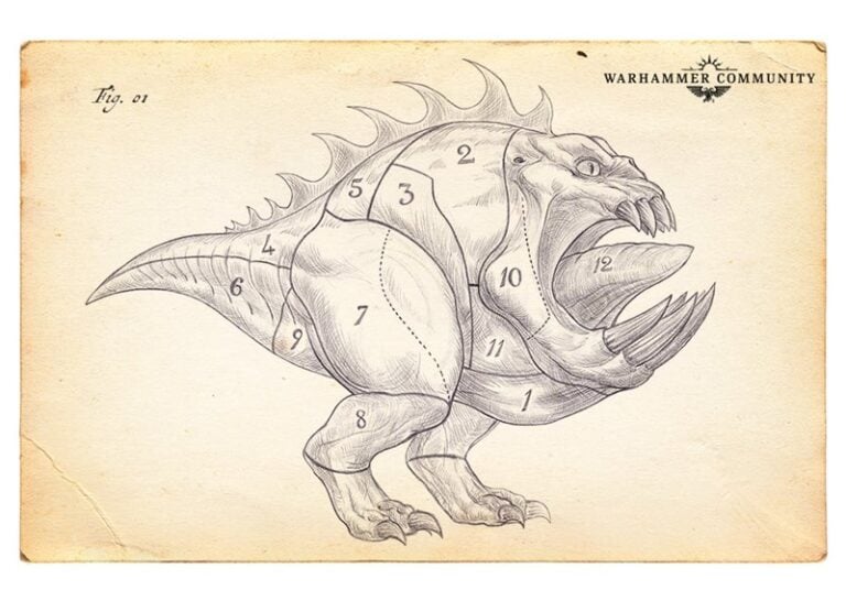 Illustration of a mythical creature resembling a muscular beast with spikes and claws, divided into numbered sections. The style is reminiscent of a vintage anatomical drawing. This serves as a guide for Gloomspites, with "Warhammer Community" displayed in the top right corner.