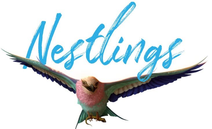 Illustration of a vibrant bird with blue and pink feathers, wings spread wide. "Nestlings" is elegantly written above in flowing blue script, hinting at an exciting Kickstarter campaign by Tangerine Games.