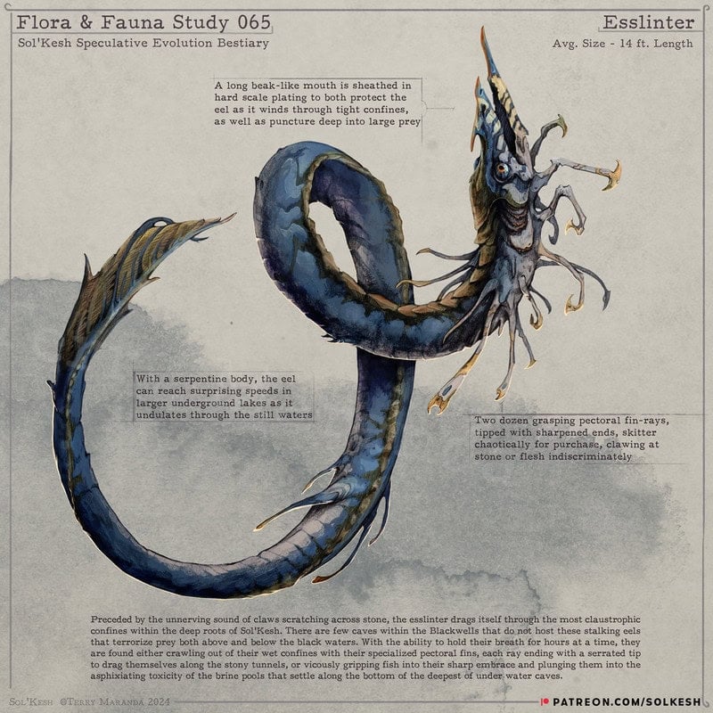 An illustration of the Esslinter, a Sol'Kesh creation with a serpent-like body, eel-like head, sharp tusks, and fins. The descriptive text delves into its features and behavior within a speculative evolution context, offering an intriguing glimpse into its imagined world.