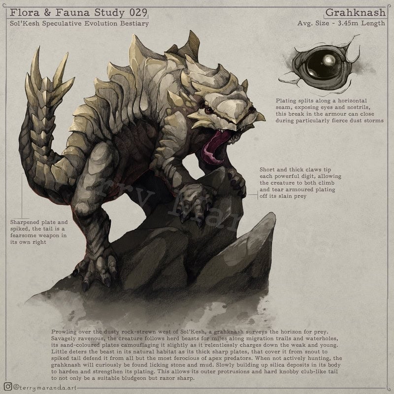 A detailed illustration in the style of a speculative evolution bestiary captures the fictional creature Grahknash, resembling a robust, dragon-like beast with a horned head, sharp claws, and a long, segmented tail. It stands on rocks roaring amidst diagrams as if lifted from an ancient art journal of miniatures.